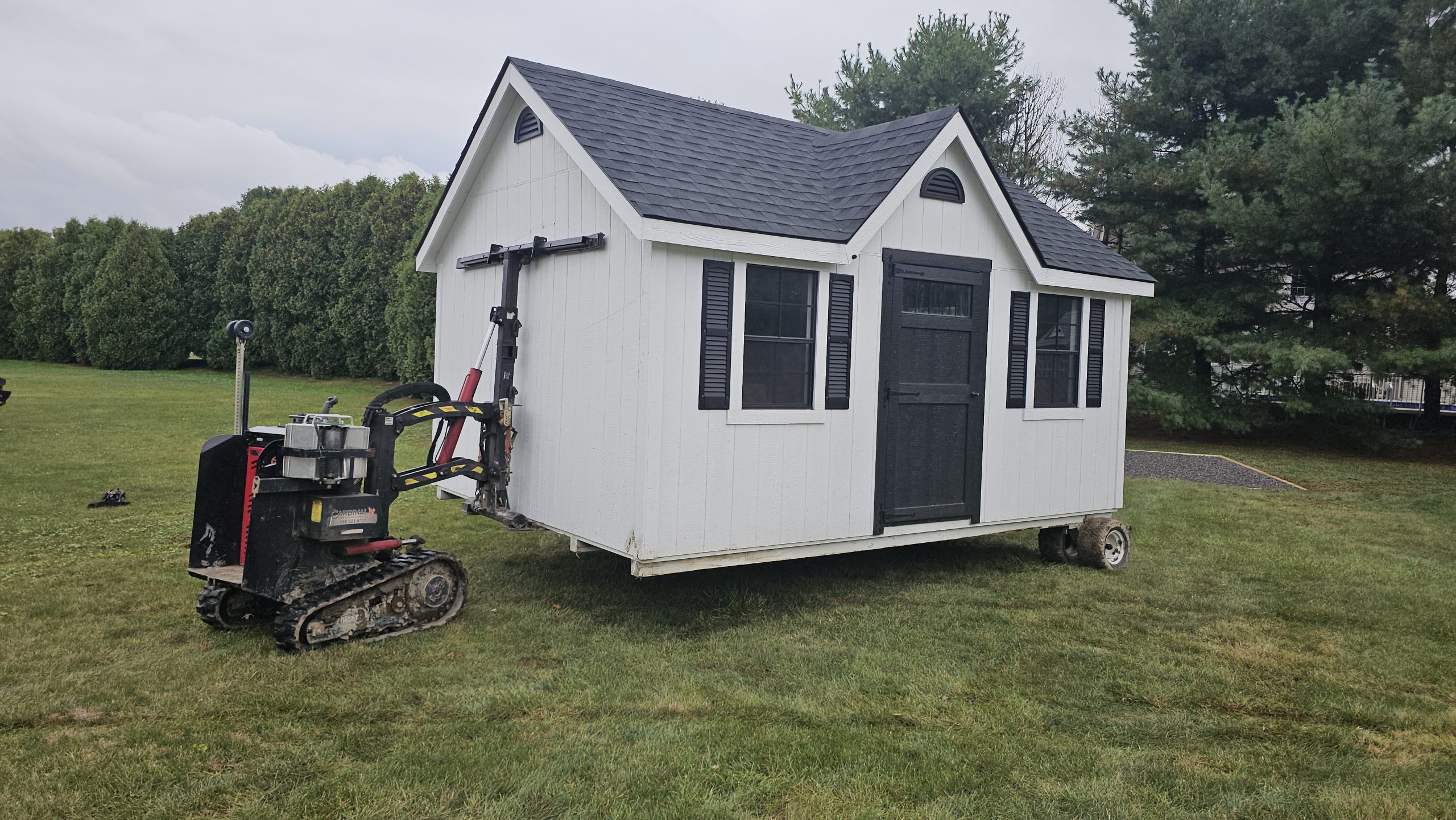 Mule moving white shed